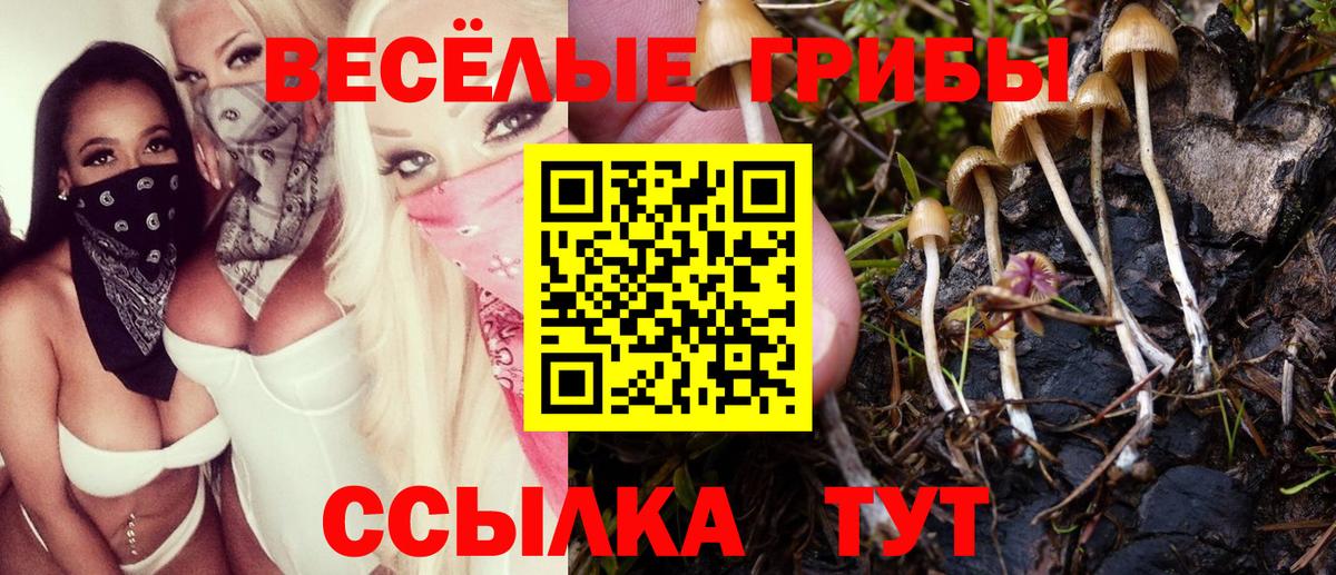 Псилоцибиновые грибы Psilocybe  Вход с VPN  Елизово  Галлюциногенные грибы мухоморы 