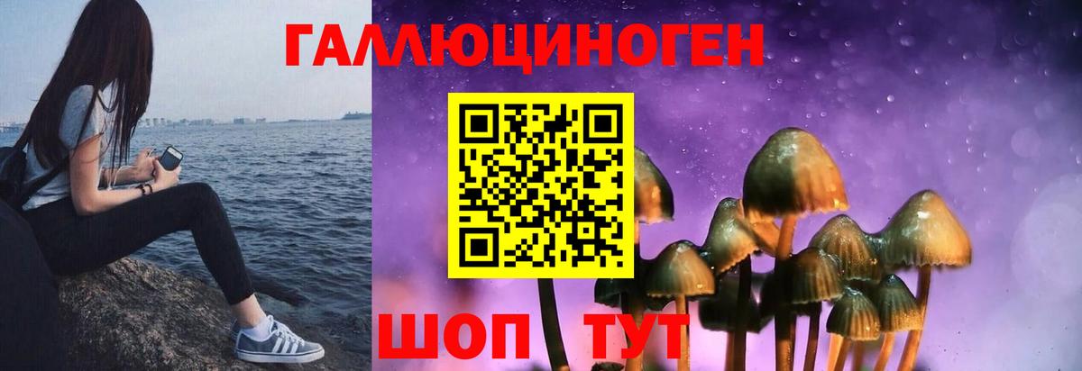 Галлюциногенные грибы мицелий Елизово