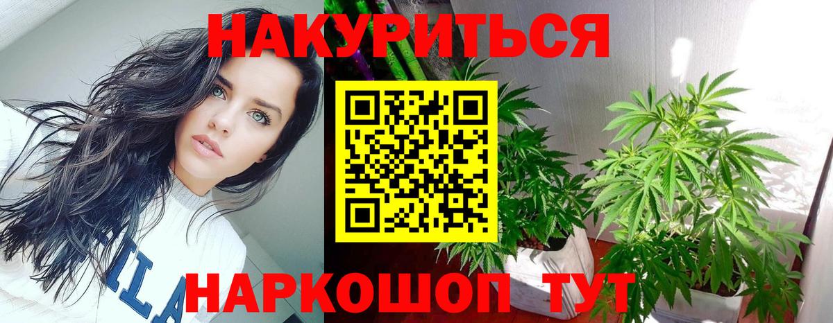 Конопля планчик  Вход с VPN  Каннабис планчик  Елизово 